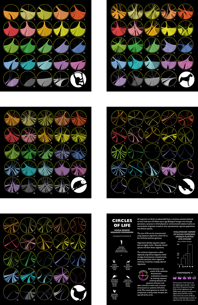 Illustration for article titled 12 Stunning Data Visualizations That Put Boring Spreadsheets to Shame